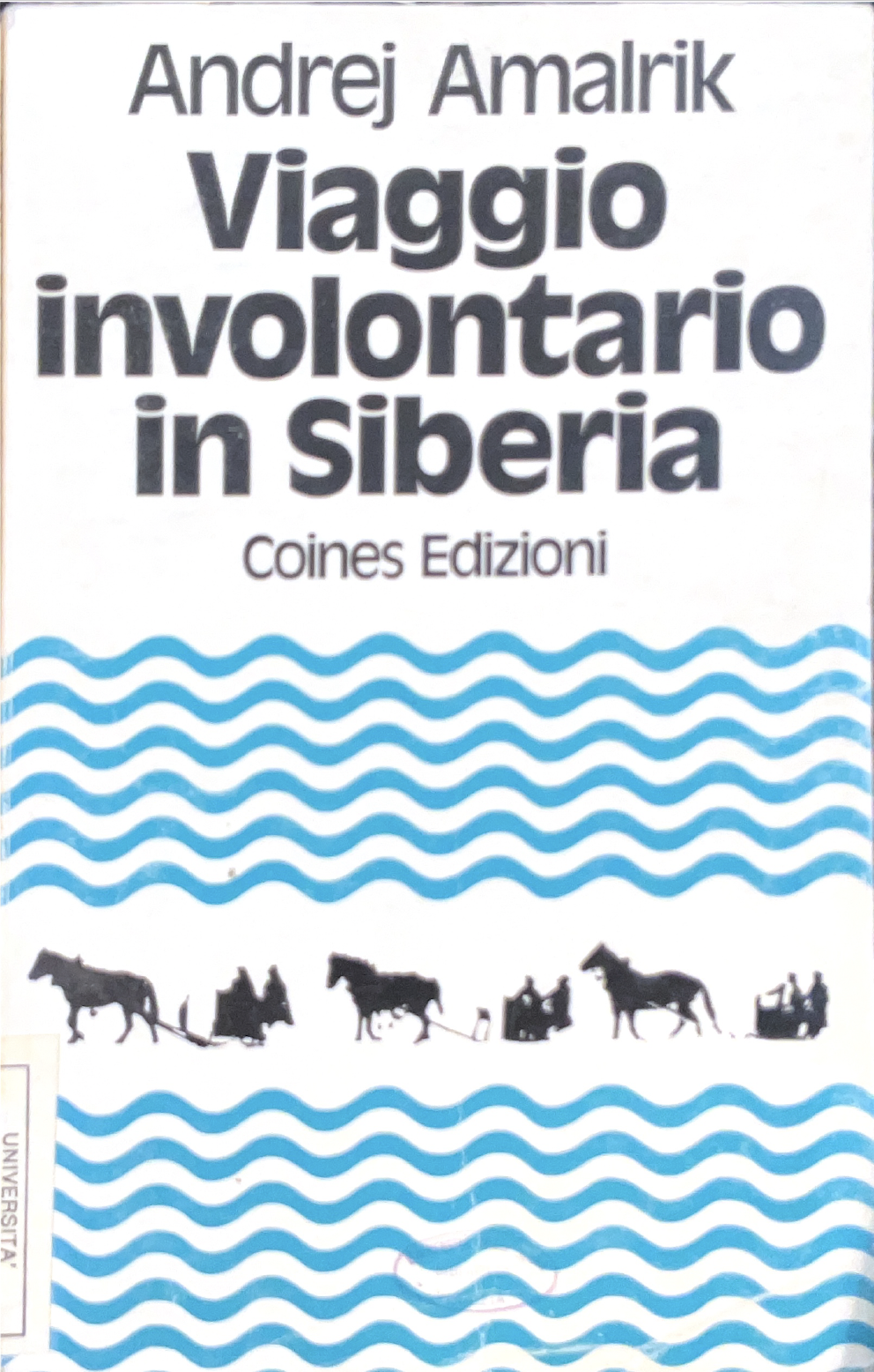 Viaggio involontario in Siberia